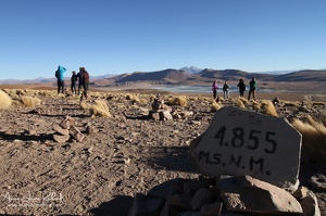 Sud Lipez (10406 visits) Sud Lipez