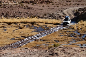 Sud Lipez (10345 visits) Sud Lipez