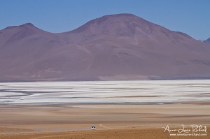 Sud Lipez (10524 visits) Sud Lipez