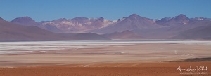 Sud Lipez (10515 visits) Sud Lipez