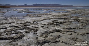 Sud Lipez (10574 visits) Sud Lipez