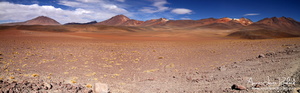 Désert de Dali (10532 visits) Désert de Dali