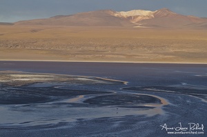 Laguna Colorada (10653 visits) Laguna Colorada