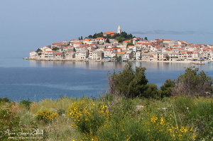 Primošten (9060 visits) Primošten