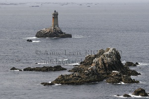 Phare de la Vieille (5501 visits) Phare de la Vieille
