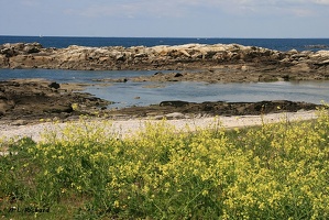 Le Croisic (8744 visits) Le Croisic