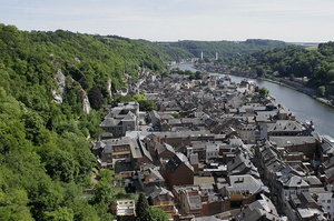 dinant3 (8917 visits) dinant3