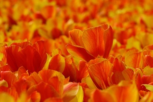 6 (7876 visits) 6