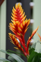 19 (7808 visits) 19