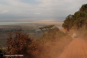 NGorongoro (8618 visits) NGorongoro