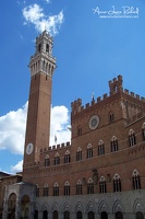 Sienne (8536 visits) Sienne
