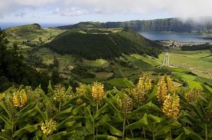 Sete Cidades (13515 visits) Sete Cidades