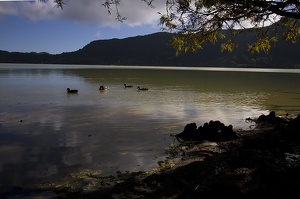Furnas (12068 visits) Furnas