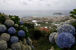 Vila Franco do Campo (11850 visits) Vila Franco do Campo