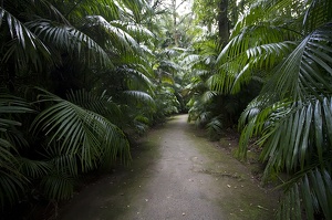Jardin botanique Terra Nostra (11940 visits) Jardin botanique Terra Nostra