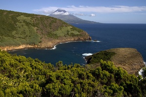 Faial et Pico en fond (12332 visits) Ile de Faial Faial et Pico en fond