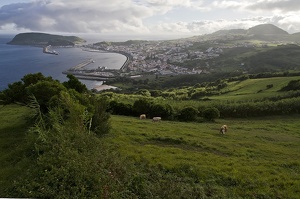 Horta (12027 visits) Ile de Faial Horta