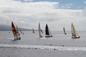 Douarnenez-Horta Solo (11825 visits) Championnat de France de course au large, Douarnenez-Horta-Douarnenez Douarnenez-Horta Solo