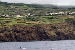 Ile de Pico (11853 visits) Ile de Pico Ile de Pico
