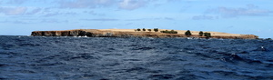 Sao Jorge (8007 visits) Sao Jorge