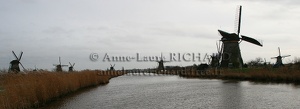 IMG 9067 (8156 visits) IMG 9067