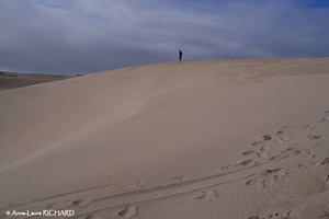 Dunes de Lancelin