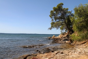 Porquerolles (8562 visits) Porquerolles