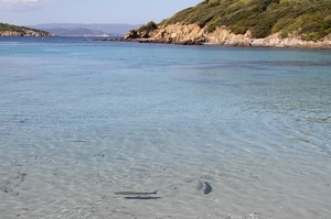 Port-Cros (8167 visits) Port-Cros