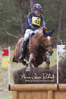 Jan VAN BEEK & Vamp du Monselet (56194 visits) Jan VAN BEEK & Vamp du Monselet - CICO 3* Fontainebleau 2016 Jan VAN BEEK & Vamp du Monselet