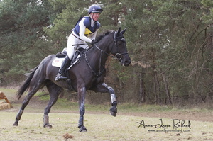 Nicola WILSON & Bulana (52821 visits) Nicola WILSON & Bulana - CICO 3* Fontainebleau 2016 Nicola WILSON & Bulana