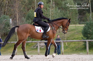 Arnaud BOITEAU & Sultan de la Motte (72783 visits) Arnaud BOITEAU & Sultan de la Motte - CICO 3* Fontainebleau 2016 Arnaud BOITEAU & Sultan de la Motte