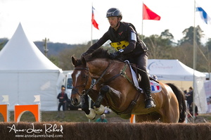Arnaud BOITEAU & Sultan de la Motte (73177 visits) Arnaud BOITEAU & Sultan de la Motte - CICO 3* Fontainebleau 2016 Arnaud BOITEAU & Sultan de la Motte