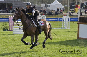 Arnaud BOITEAU & Sultan de la Motte (73392 visits) Arnaud BOITEAU & Sultan de la Motte - CICO 3* Fontainebleau 2016 Arnaud BOITEAU & Sultan de la Motte