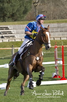 Thomas CARLILE & Sirocco du Gers (68960 visits) Thomas CARLILE & Sirocco du Gers - CICO 3* Fontainebleau 2016 Thomas CARLILE & Sirocco du Gers