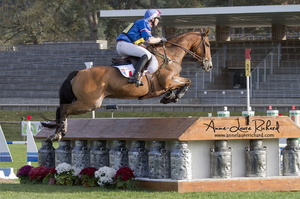 Thomas CARLILE & Sirocco du Gers (69679 visits) Thomas CARLILE & Sirocco du Gers - CICO 3* Fontainebleau 2016 Thomas CARLILE & Sirocco du Gers