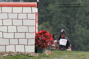 Didier DHENNIN - Must des Sureaux (FRA) (39119 visits) DIDIER DHENNIN ET MUST DES SUREAUX - SF par Stew Boy x Alibi A - CICO 3* Aachen 2011 Didier DHENNIN - Must des Sureaux (FRA)