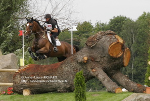 Didier DHENNIN - Must des Sureaux (FRA) (35461 visits) DIDIER DHENNIN ET MUST DES SUREAUX - SF par Stew Boy x Alibi A - CICO 3* Aachen 2011 Didier DHENNIN - Must des Sureaux (FRA)