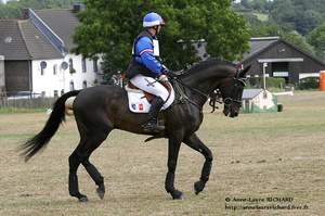 Eddy SANS - Mayland de Brunel (FRA) (41559 visits) EDDY SANS ET MAYLAND DE BRUNEL -SF par Yarlands Summer Song x Pot d'Or - CICO 3* Aachen 2011 Eddy SANS - Mayland de Brunel (FRA)