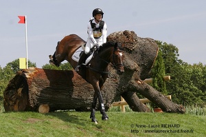 Michael JUNG - Leopin (GER) (21950 visits) MICHAEL JUNG ET LEOPIN - SACHS par Legal Legend x Pius - CICO 3* Aachen 2011 Michael JUNG - Leopin (GER)