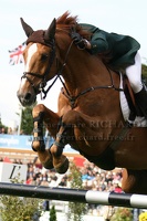 Hanley CAMERON - Southwind VDL (IRL) (24612 visits) HANLEY CAMERON ET SOUTHWIND VDL - KWPN par Baloubet du Rouet x Ahorn - CSIO 5* La Baule 2010 Hanley CAMERON - Southwind VDL (IRL)
