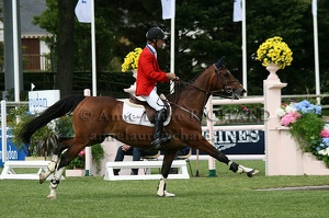 Richard SPOONER - Cristallo (USA) (21131 visits) RICHARD SPOONER ET CRISTALLO - HOLST par Caretino x Cicero - CSIO 5* La Baule 2010 Richard SPOONER - Cristallo (USA)