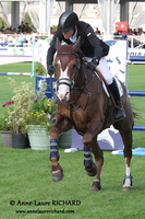 Michael WHITAKER & Viking (GBR) (37624 visits) MICHAEL WHITAKER ET VIKING - KWPN par Jacomar x Almox Prints - GRAND PRIX GLOBAL CHAMPIONS TOUR EADS... Michael WHITAKER & Viking (GBR)