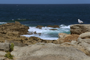 Ile Grande (8498 visits) Bretagne - Août 2017 Ile Grande