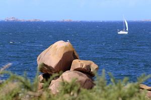 Côte de Granit Rose (9191 visits) Bretagne - Août 2017 Côte de Granit Rose