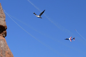 Patrouille de France (13628 visits) Démonstration de la Patrouille de France
Plage du Trestaou - Perros Guirec
Bretagne - Août 2017 Patrouille de France