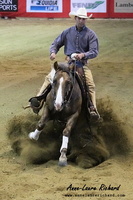 Romuald POARD & Double R Wimpy (FRA) (12526 visits) Reining Intermediate Open Lyon 2012 Romuald POARD & Double R Wimpy (FRA)