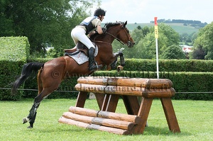 Jérémy BEATRIX - Iarlyng de Gontery (45060 visits) JEREMY BEATRIX ET IARLYNG DE GONTERY - SFA par Persan x Fantomas - Grand National CCE Vittel 2010 Jérémy BEATRIX - Iarlyng de Gontery