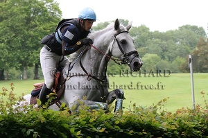 Sébastien CAVAILLON - Only One du Reverdy (29532 visits) SEBASTIEN CAVAILLON ET ONLY ONE DU REVERDY - SFA par Allegreto x Come On - Grand National CCE Vittel... Sébastien CAVAILLON - Only One du Reverdy