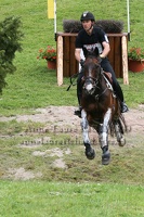 Arnaud BOITEAU - Expo du Moulin (46128 visits) ARNAUD BOITEAU ET EXPO DU MOULIN - SFA par Royalme x Air de Cour - Grand National CCE Vittel 2010 Arnaud BOITEAU - Expo du Moulin