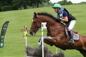 Nicolas TOUZAINT - Tatchou (41095 visits) NICOLAS TOUZAINT ET TATCHOU - AA par Faristan x El Aid - Grand National CCE Vittel 2010 Nicolas TOUZAINT - Tatchou